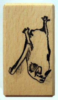 Fledermausstempel Abendsegler